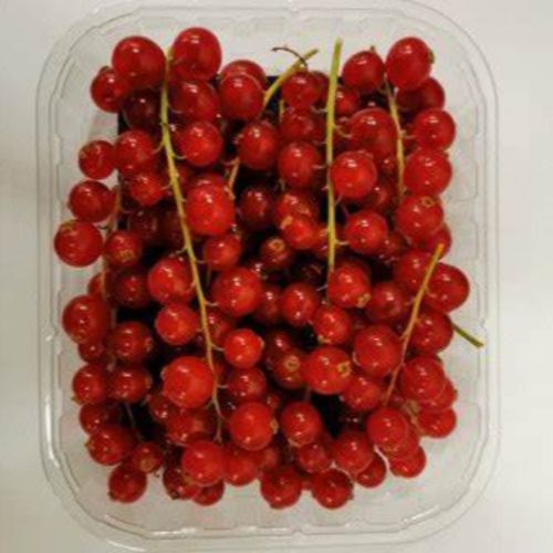 Photo de: Groseille rouge